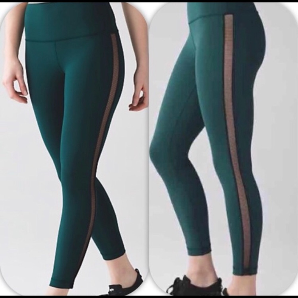 High Times Pant *wing mesh